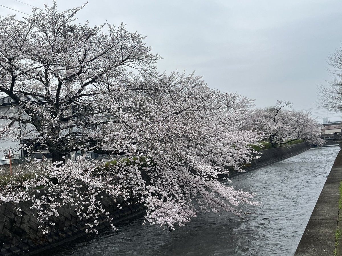 マッチボックス tweet media