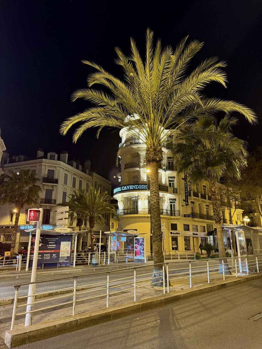 Tokenoya in Cannes 🇦🇪🇫🇷 tweet media