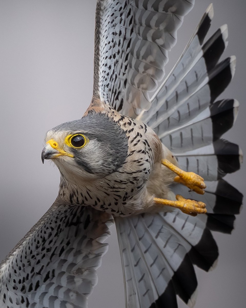 あべし tweet media