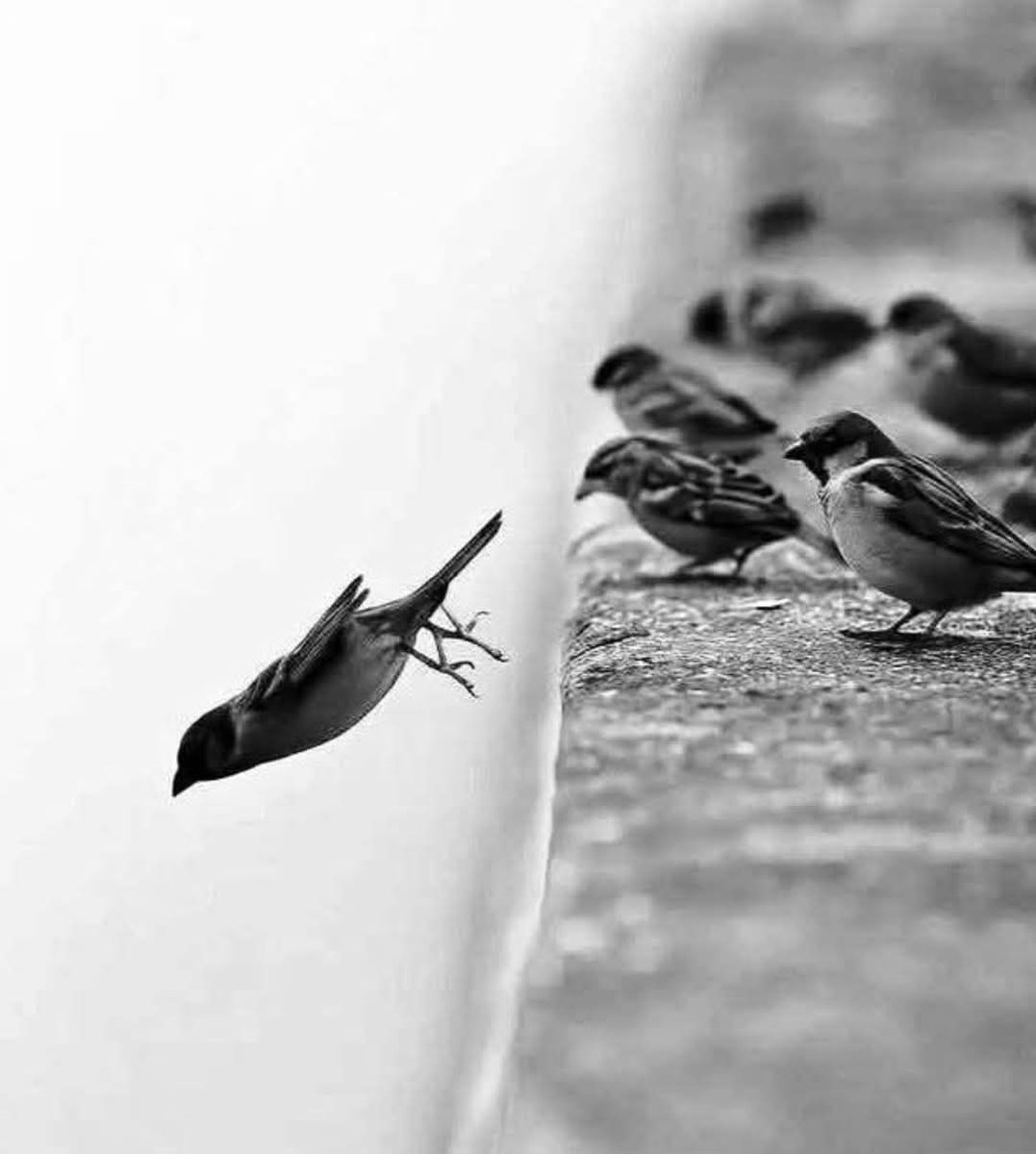 عــ ͡ــيــ ͡ــون الـريــ ͡ــم ❣️ tweet media