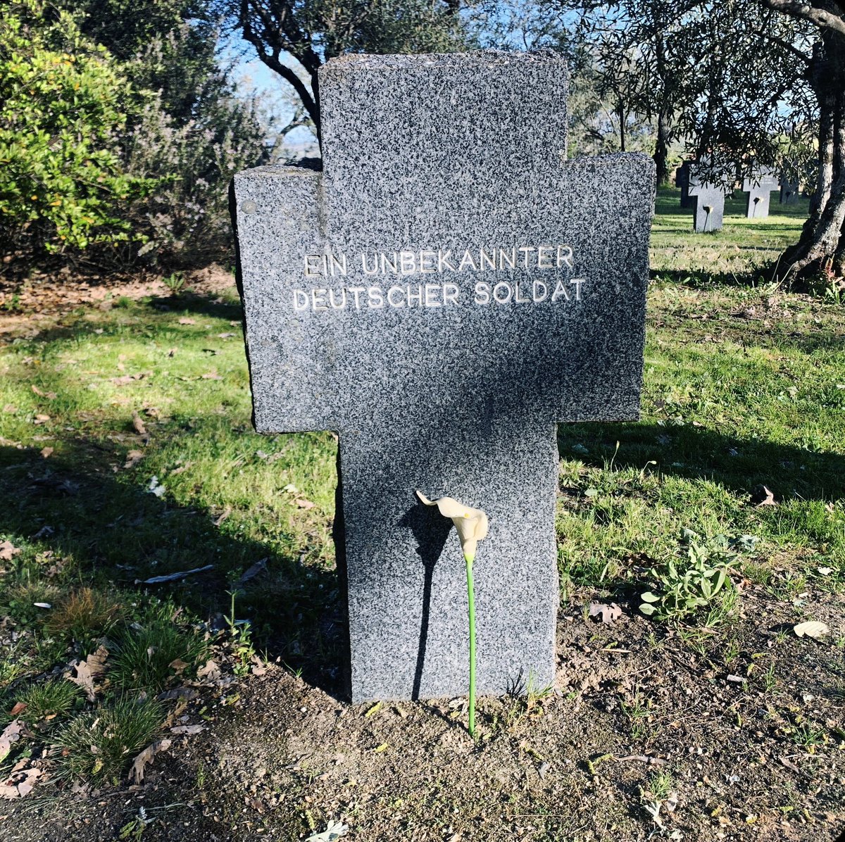 fromthetree tweet media