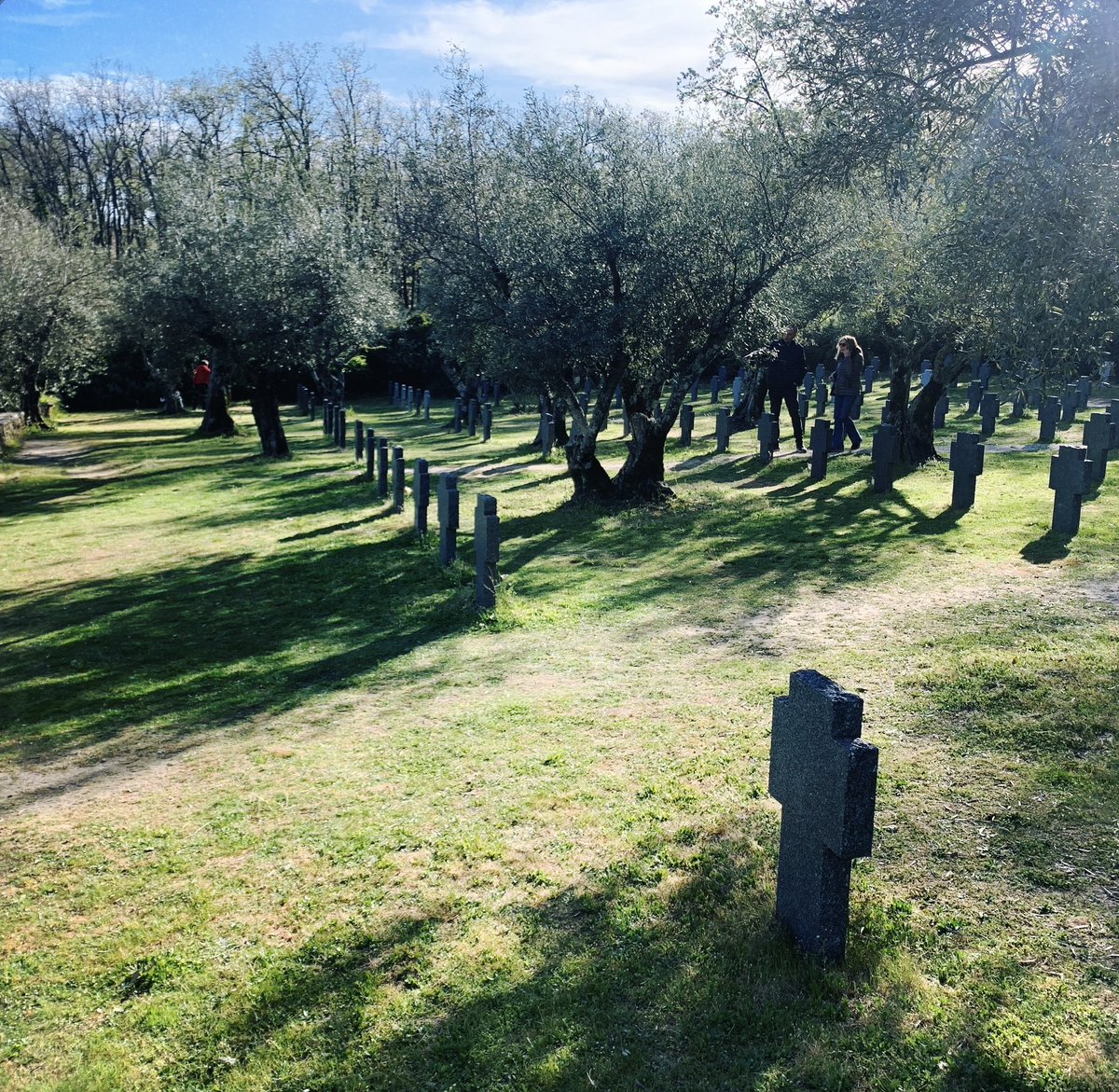 fromthetree tweet media