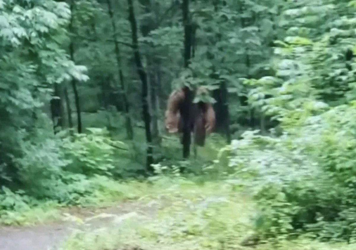 Eddie Abbott tweet media