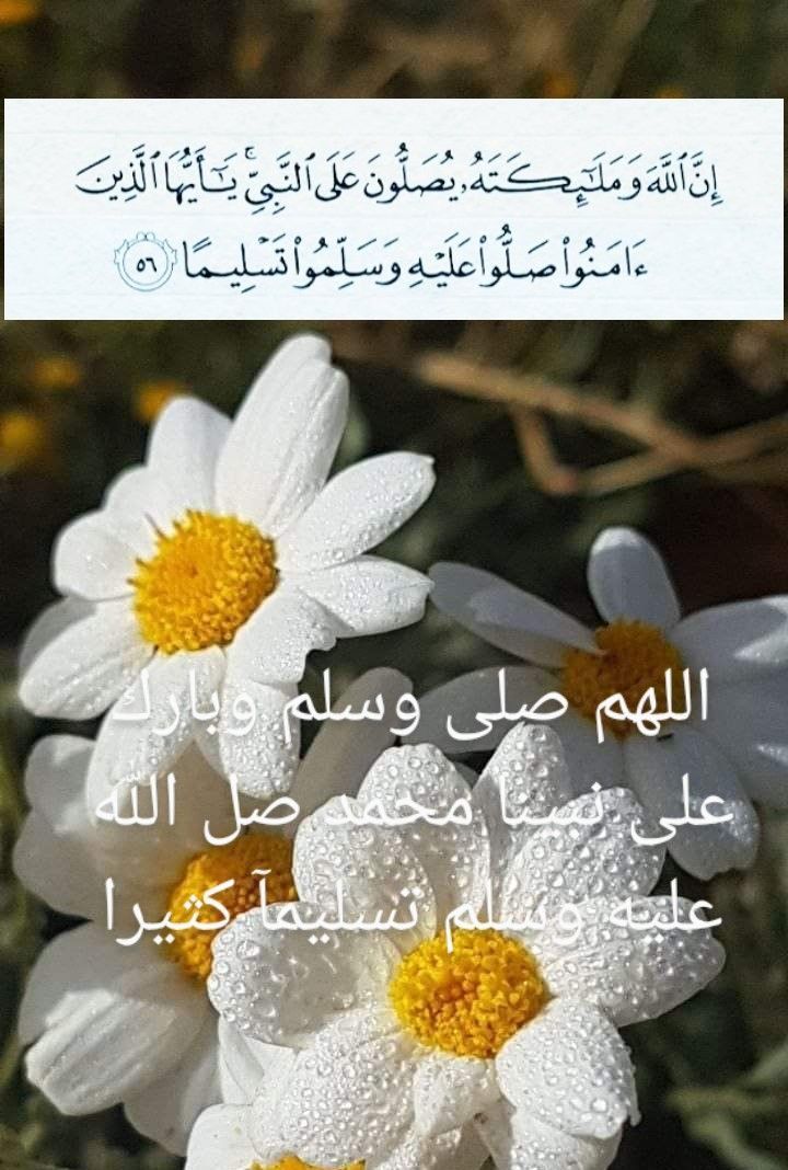 Adel Ahmed Eissa عادل احمد مصطفى عيسى (@adelahmedeissa1) on Twitter photo 