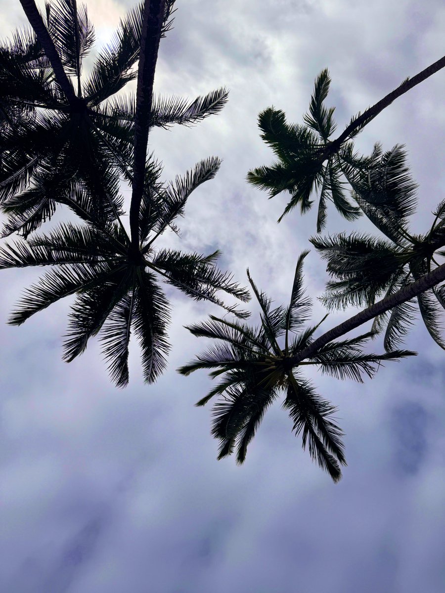 a a r o n tweet media