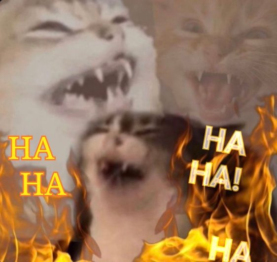 Oneoftwowitnesses tweet media