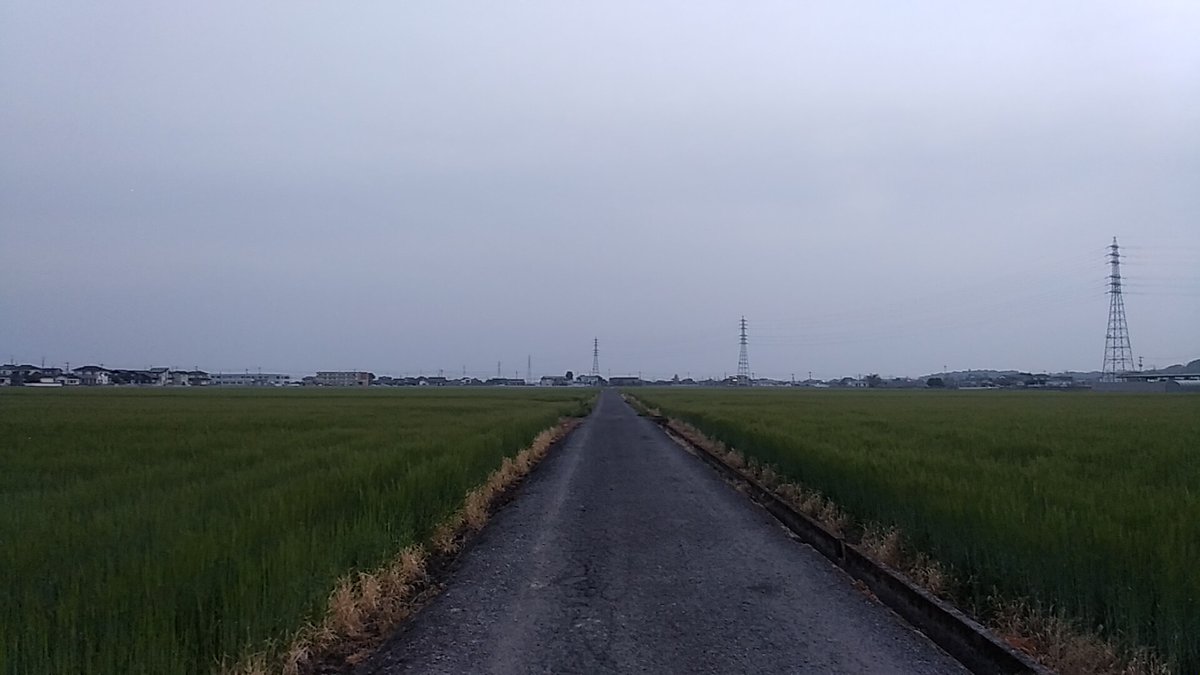 ひろむ tweet media