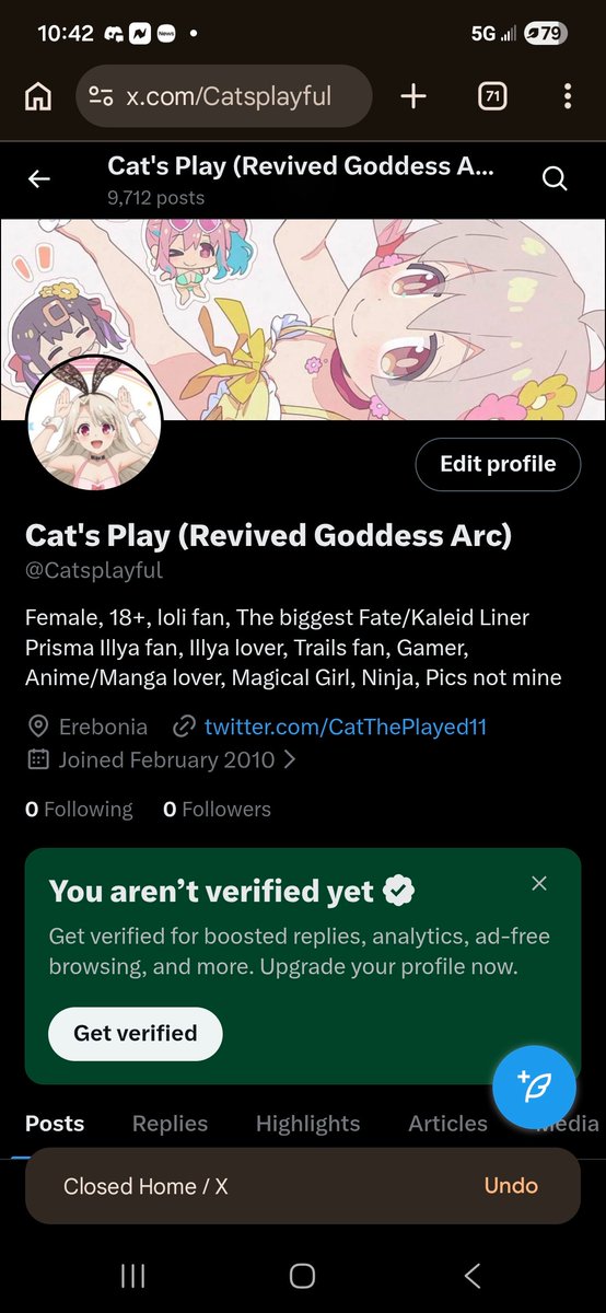 CatGODDESS tweet media