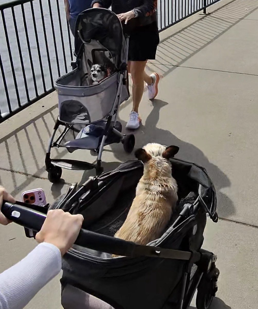 Mike Norton tweet media