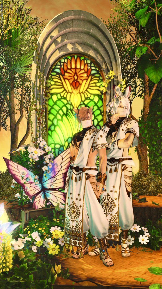 れお＠🐈✨ tweet media