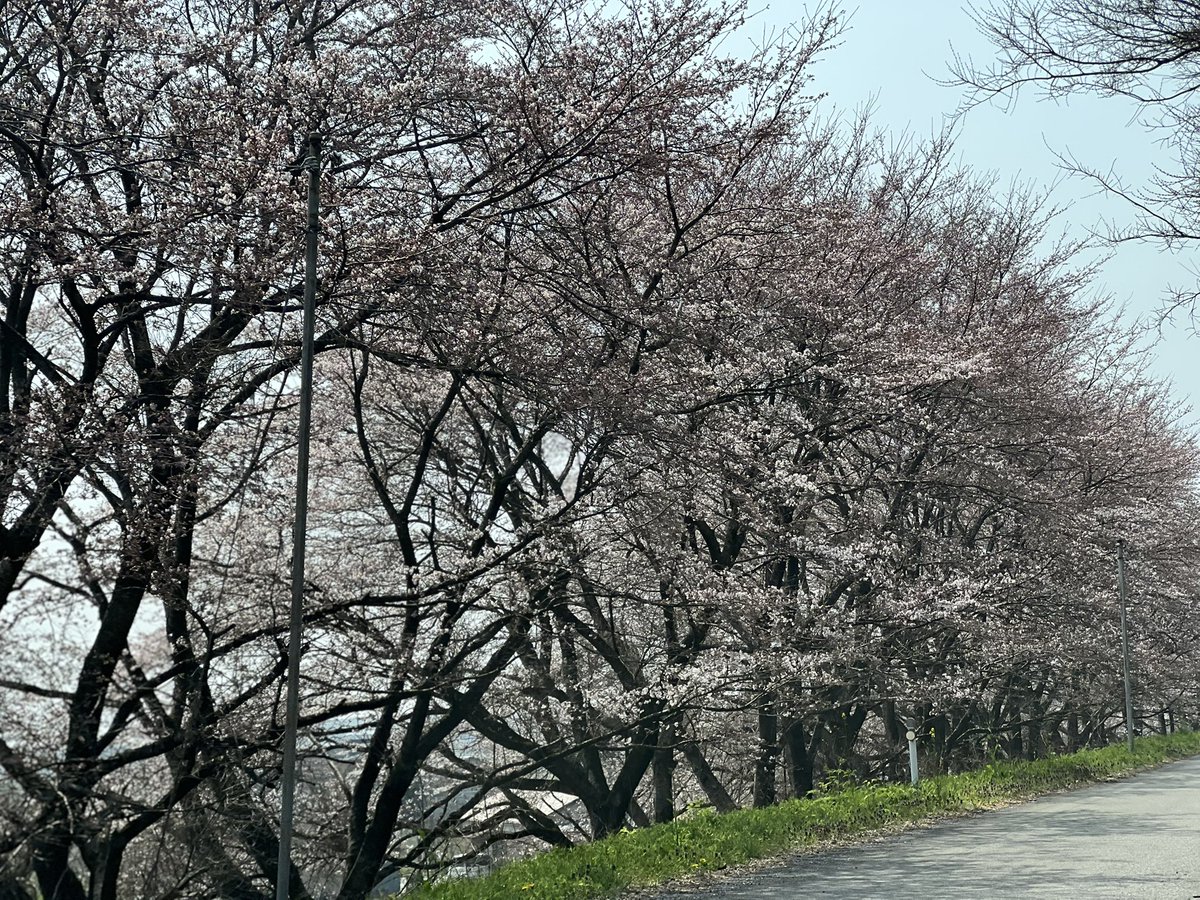 中川 孝之 tweet media