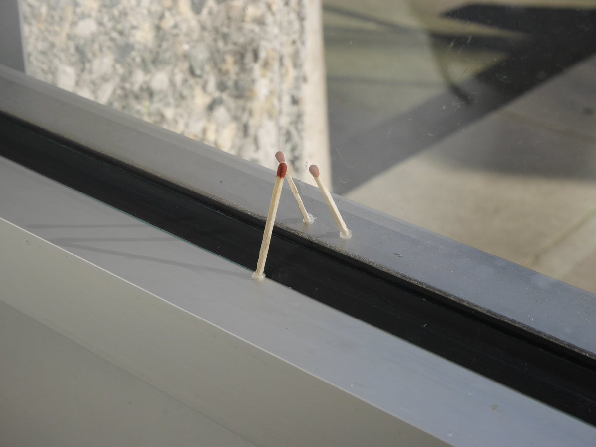 👤
Three flames
2026
dimensions varieble
three matches, window

-----
“In a Grove of Lights”
solo presentation by BIEN
21.03.26 - 16.05.26
🕓: 12-6 Fri or by appt.
at season4 episode6