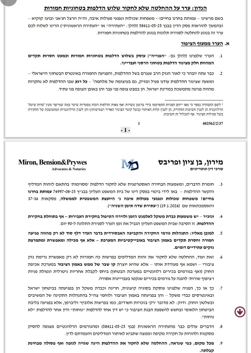 Amalia Ozer tweet media