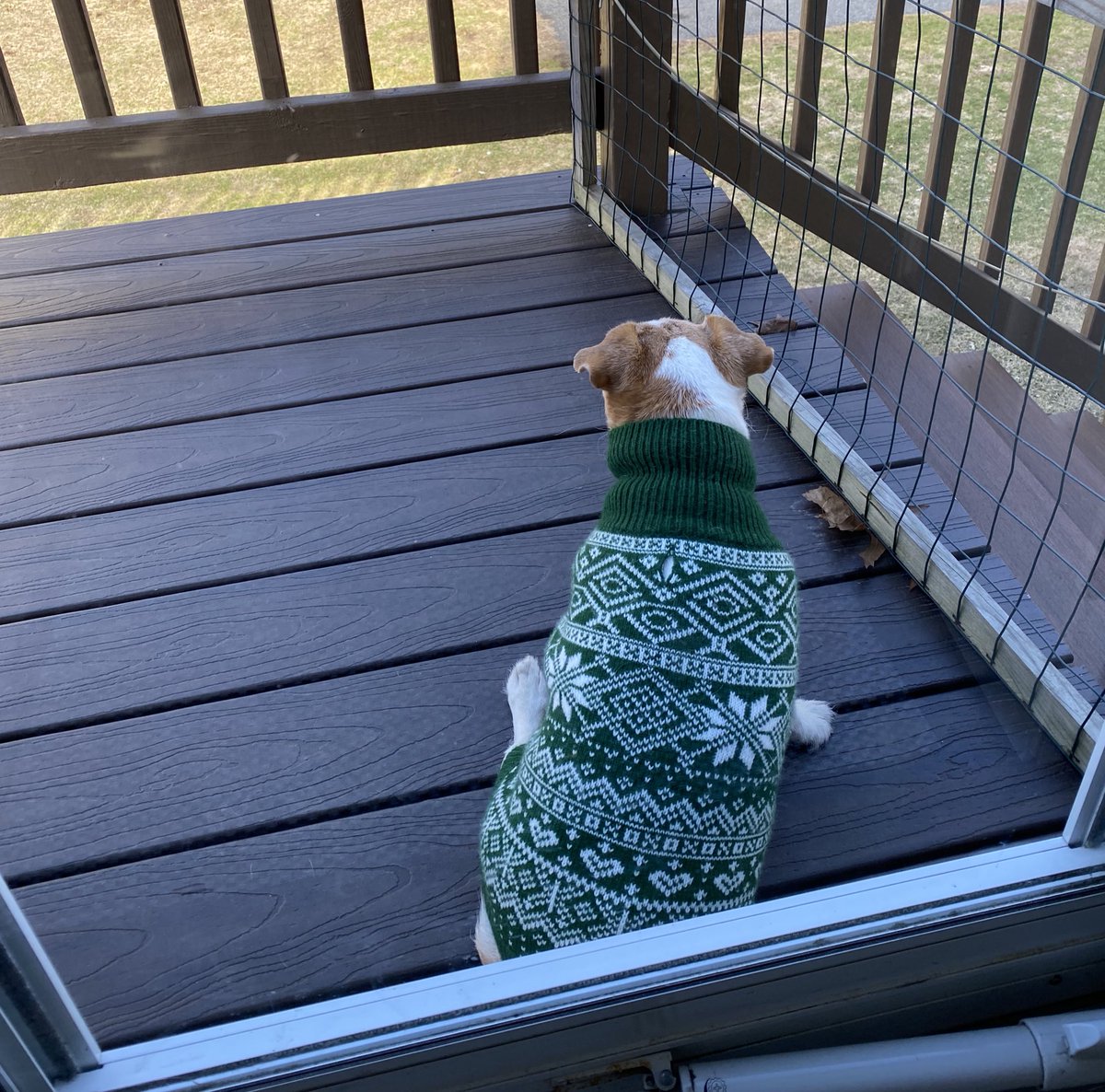 Capt. Daisy Mae tweet media