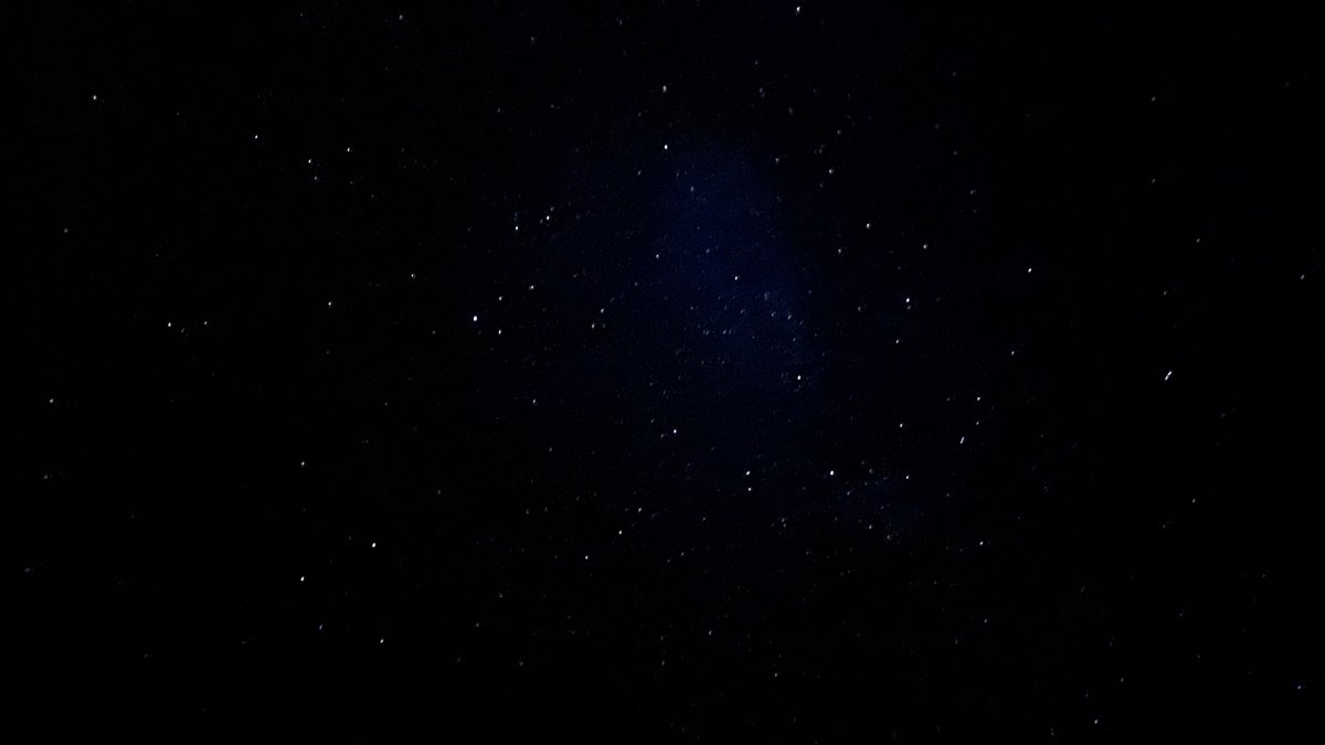 maxiplus tweet media