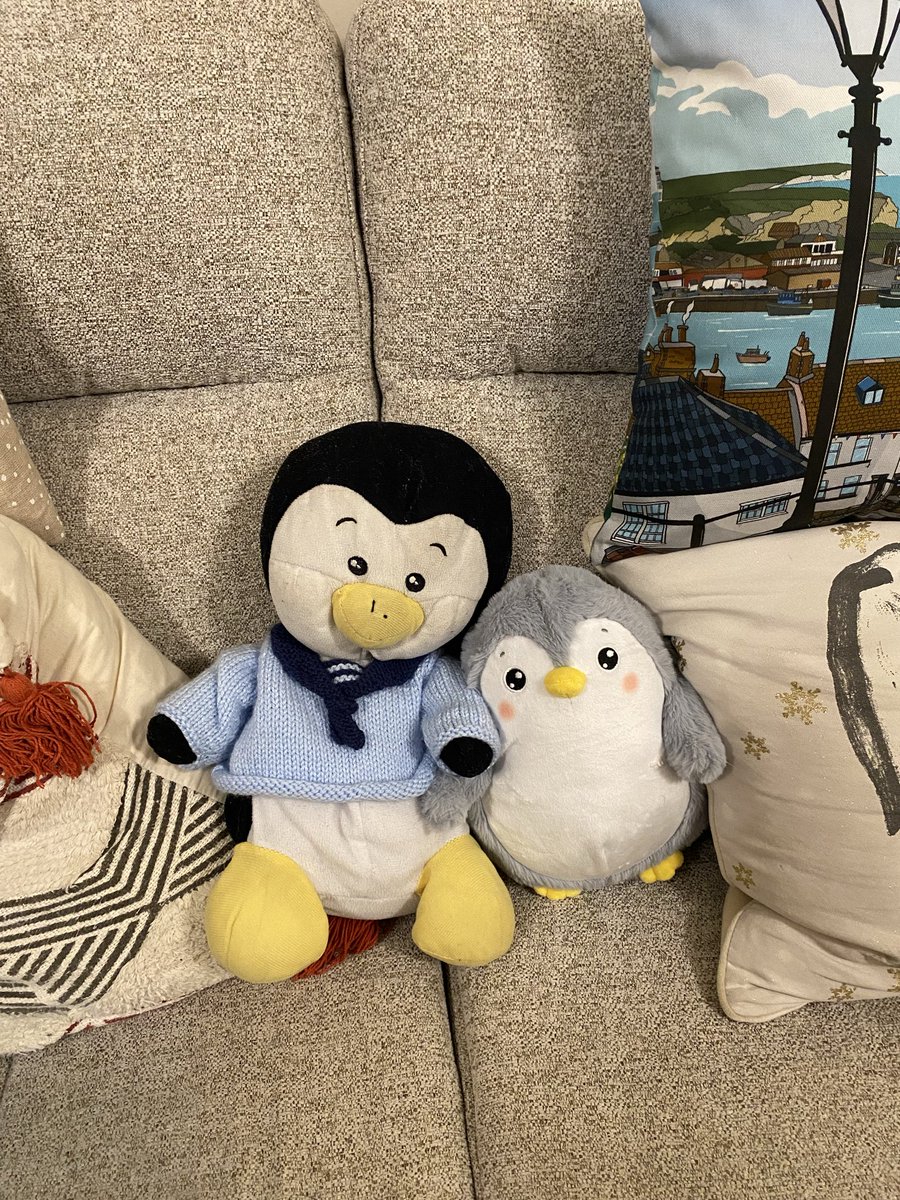 Perry the Penguin tweet media