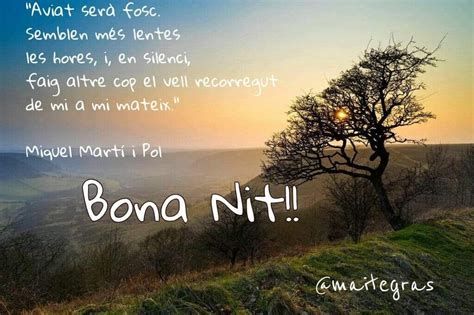 Neus Serradesanferm Costa tweet media