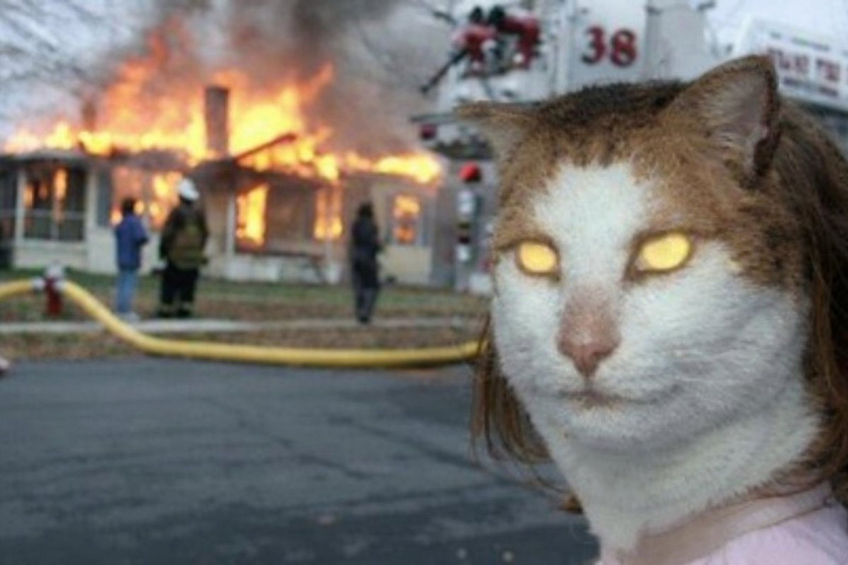 ɴ ᴏ ʙ ᴏ ᴅ ʏ tweet media