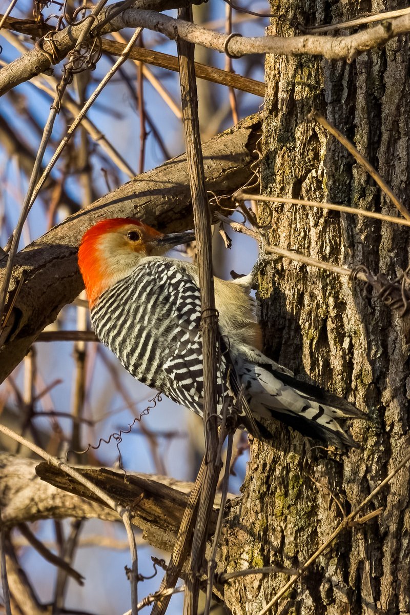 Mandeep Sihota tweet media