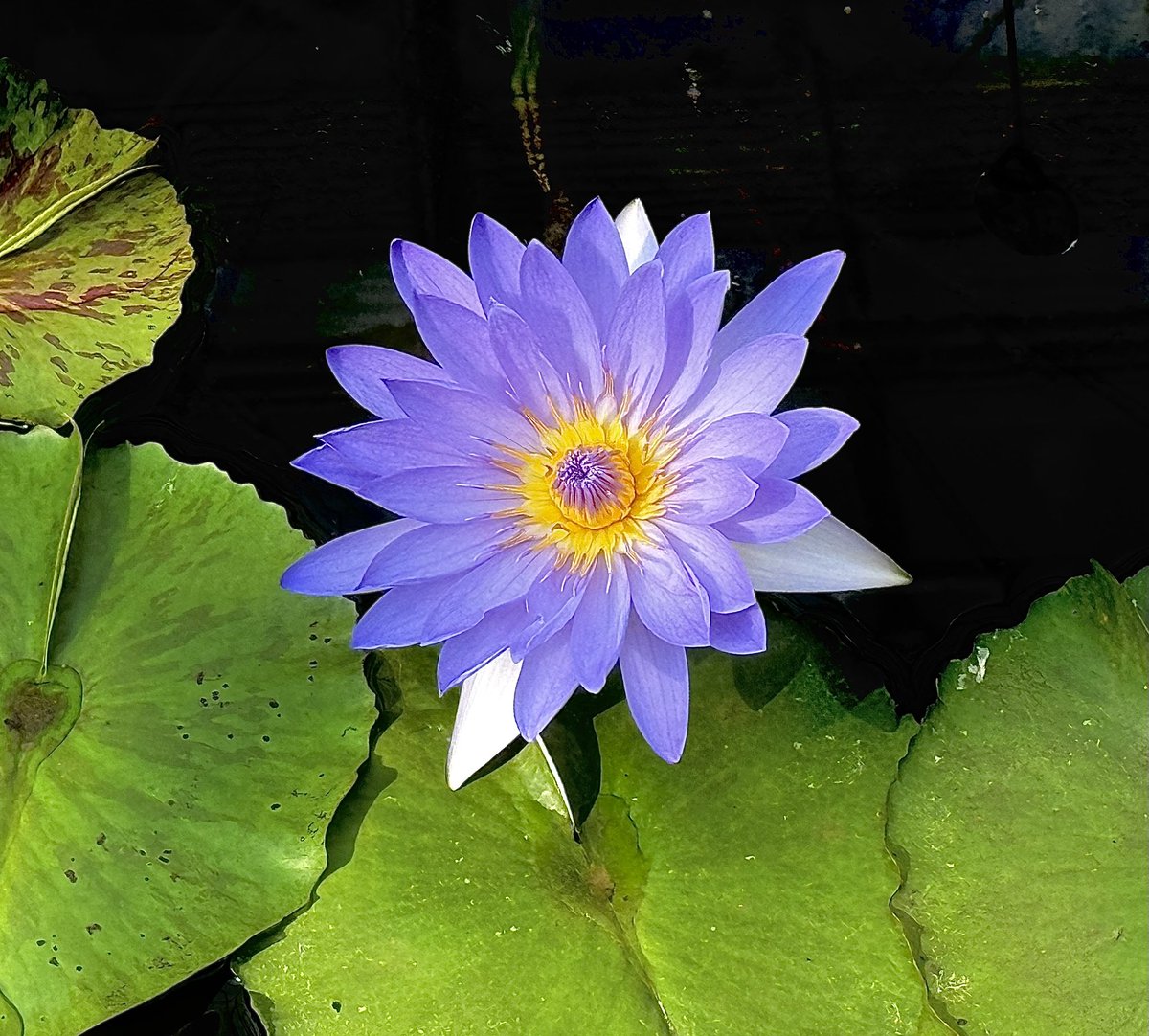 浜ん様 tweet media