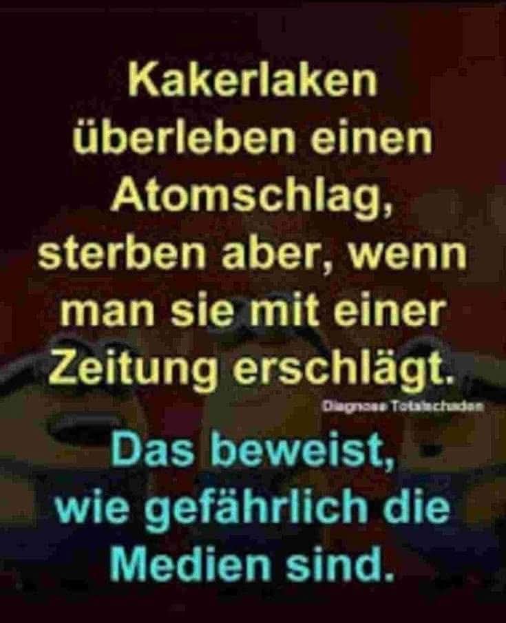 Der Barde Ralph tweet media