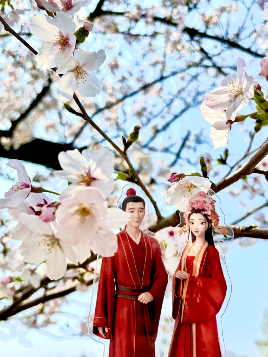 映画『白蛇：浮生』『ヨウゼン』『白蛇：縁起』日本語吹替版公式 tweet media