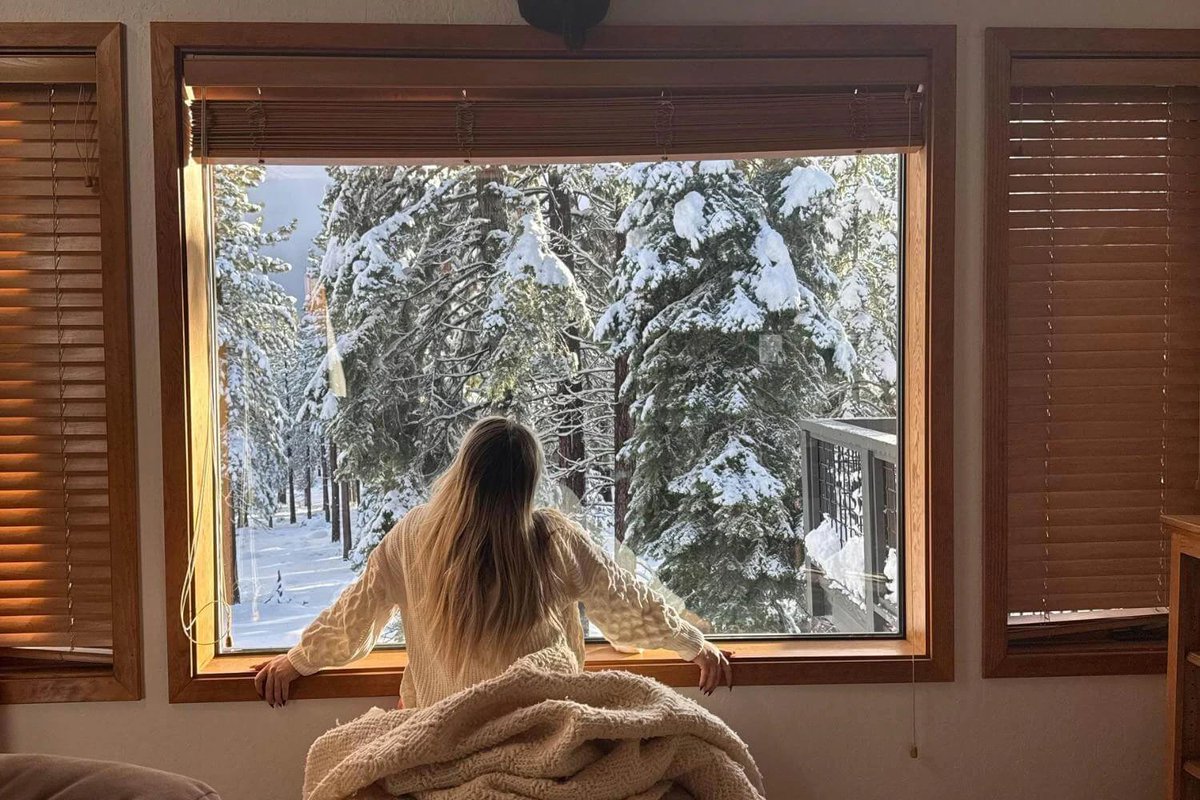 Viktor's Cousin 🐯🧡 tweet media