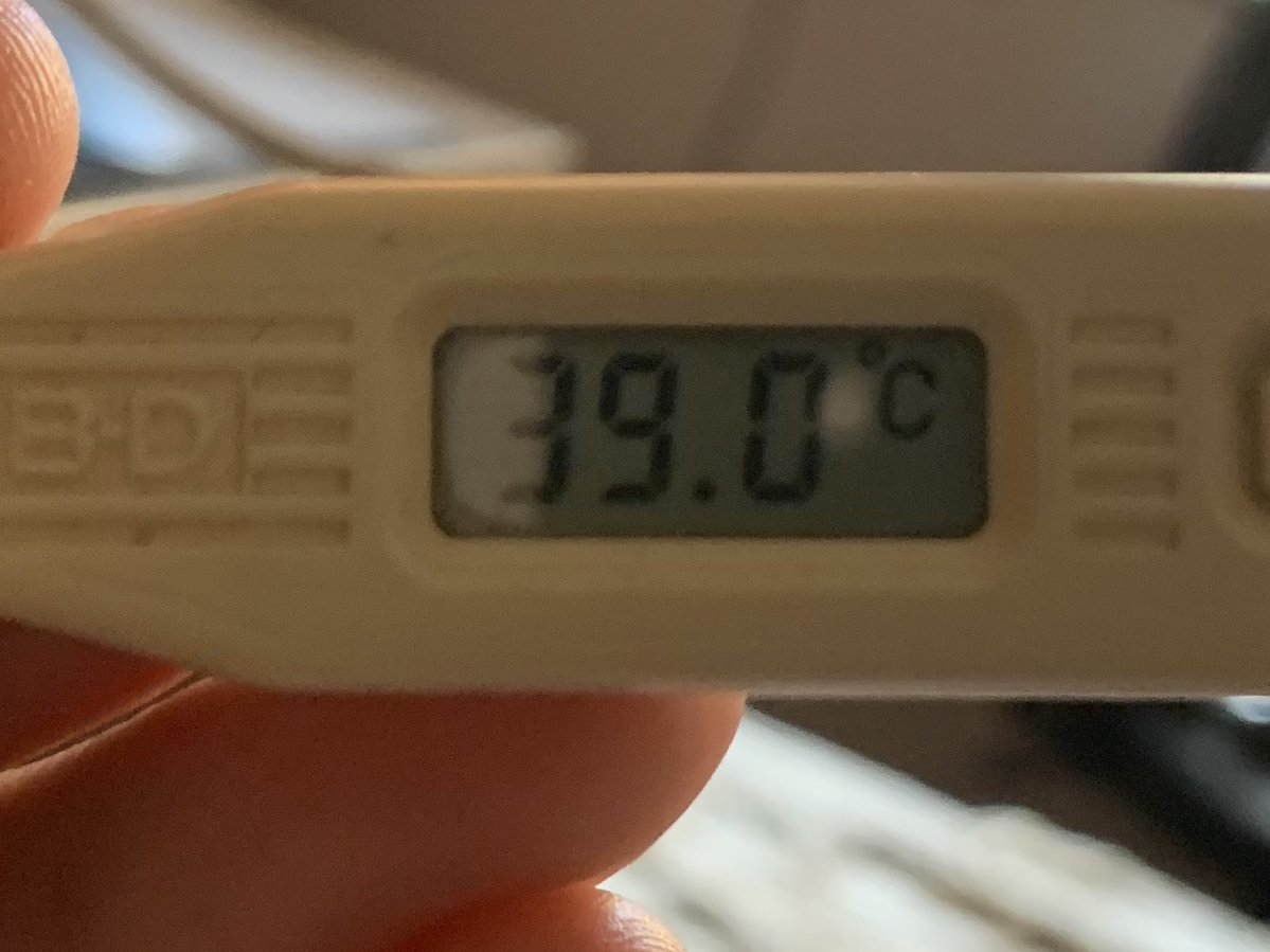 Pedro Bofh tweet media