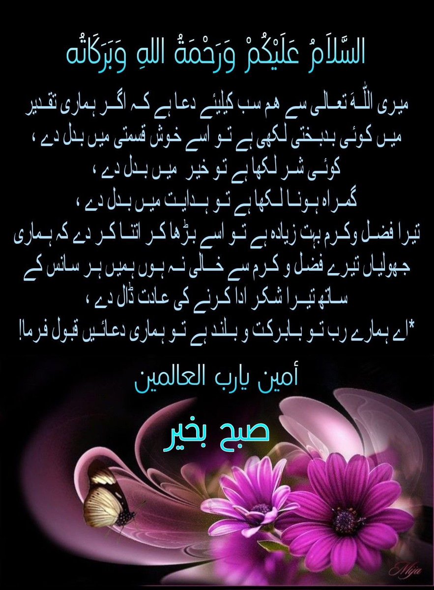 ⭐️♥️MoonShahid❤️💫 tweet media