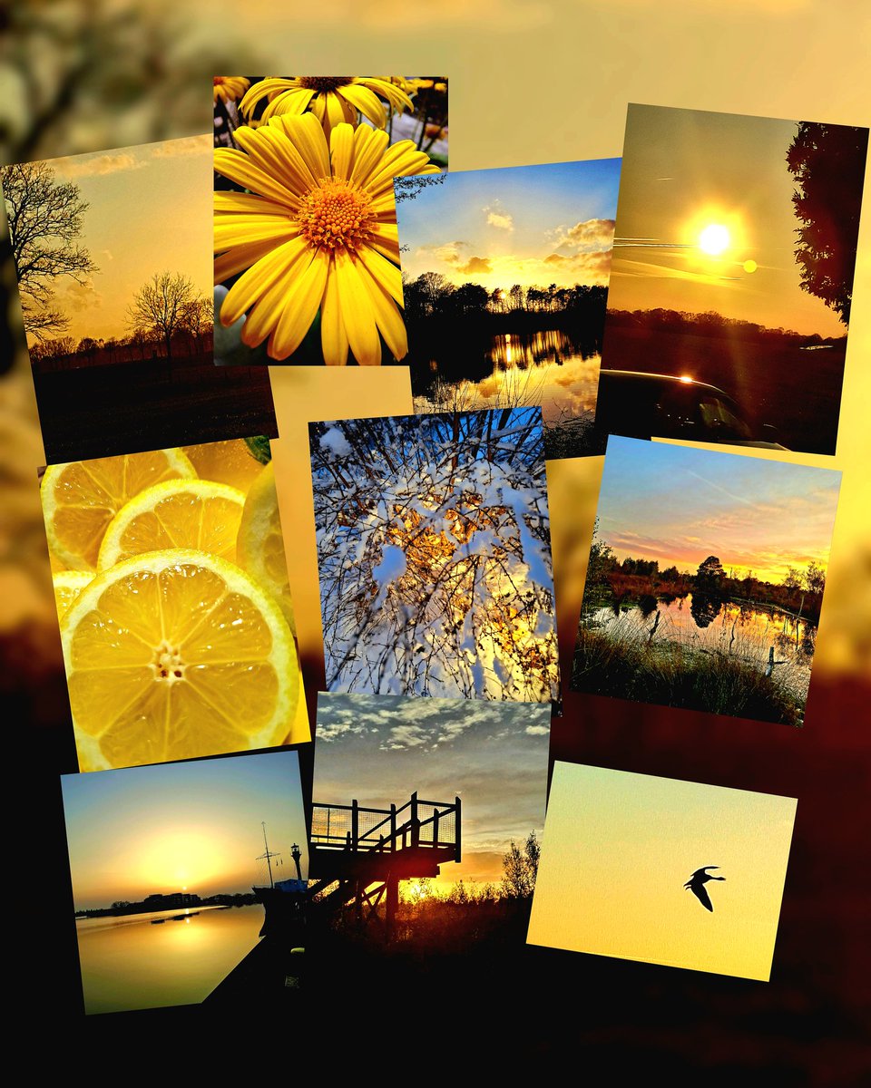 chriz31_07's tweet image. Share your yellow photos 💛