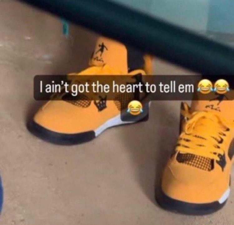 Blicktrip tweet media