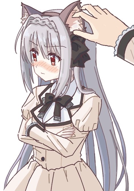 ゆもんが tweet media