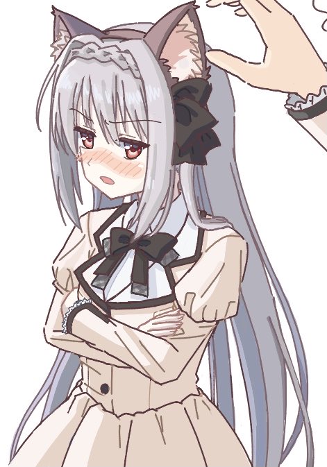 ゆもんが tweet media