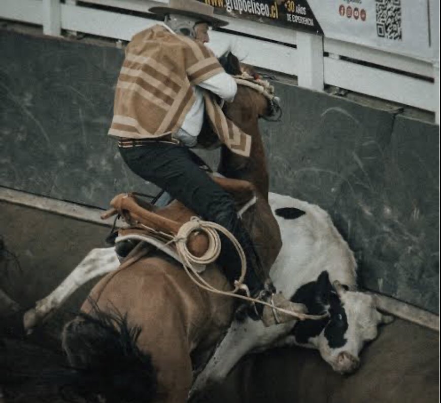 PIENSAPRENSA 360 mil Seguidores tweet media