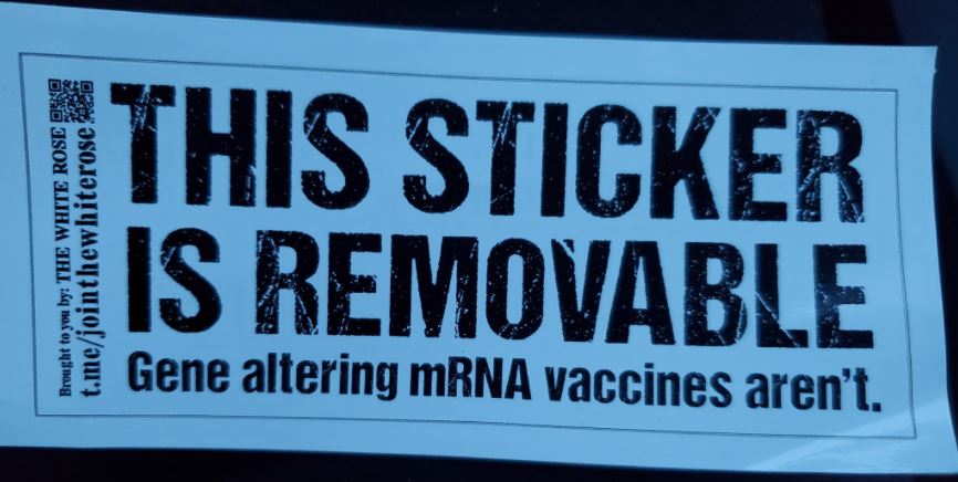 Sunshine Surfer tweet media