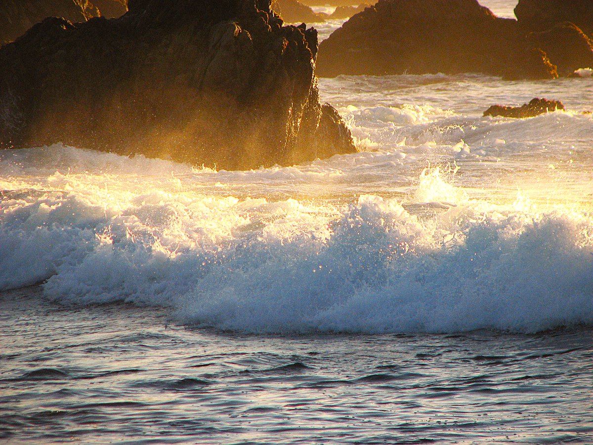 🪄❤️‍🔥〽️ona ❤️‍🔥🪄🪄🦂»💥«🐯 tweet media