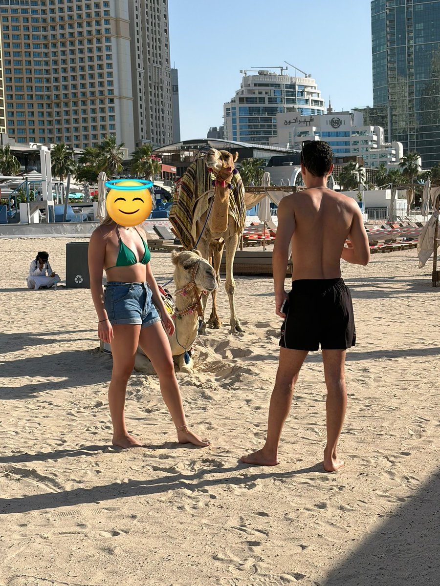 会飞的咸鱼 tweet media