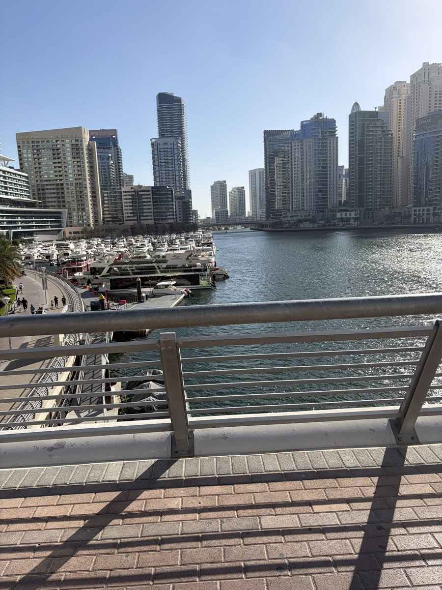 会飞的咸鱼 tweet media