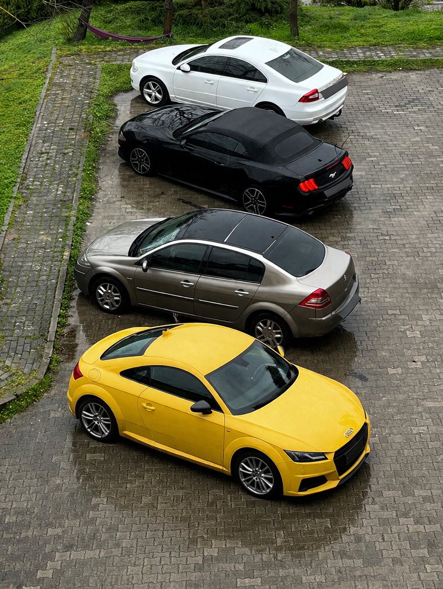 I Am Groot tweet media