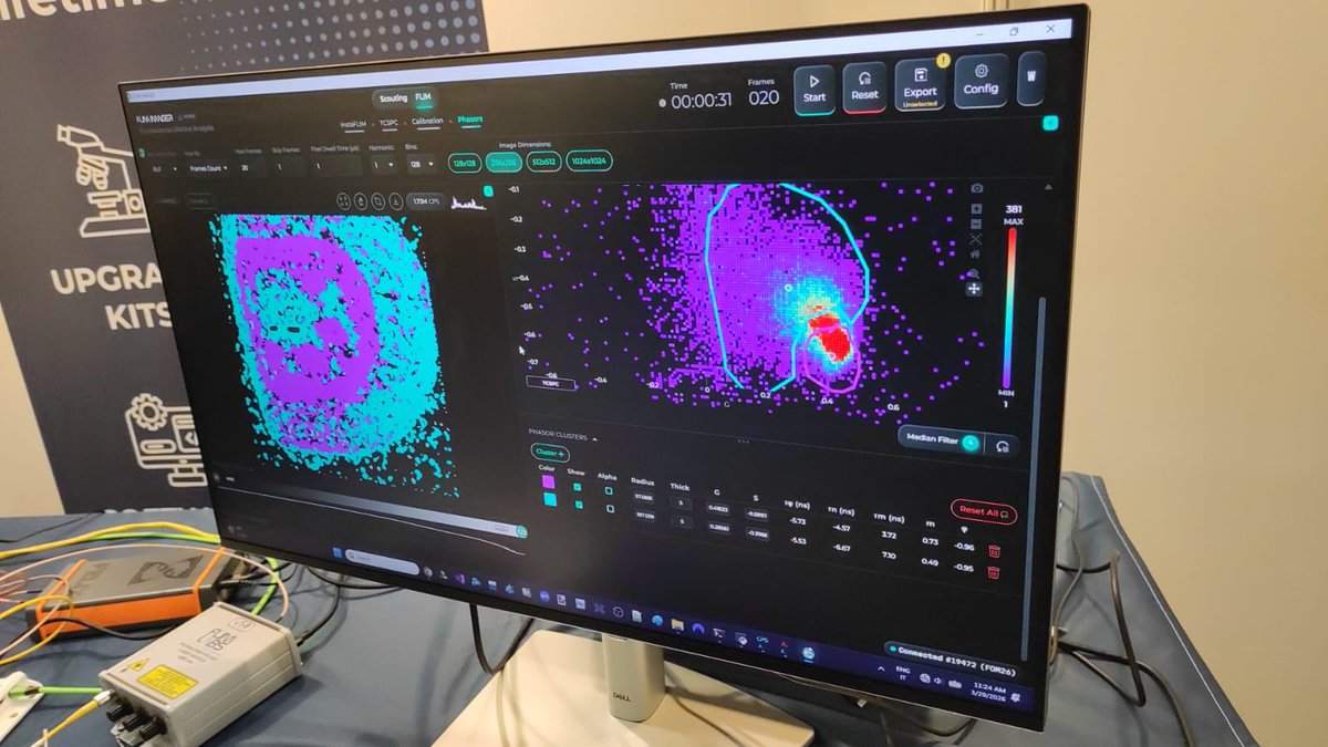 FLIM LABS tweet media