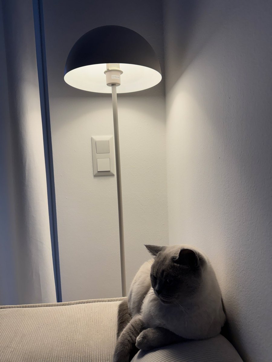 bamacir's tweet photo. 🐈‍⬛🧺🕯️📺 #yengeç 🏡 https://t.co/RckqBB6wfk