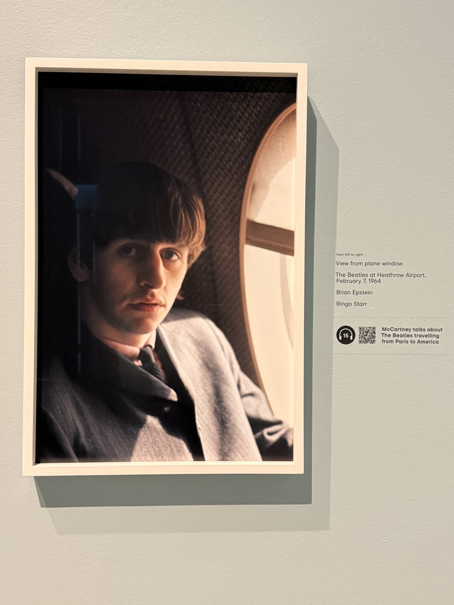 小獅不在紐約 tweet media