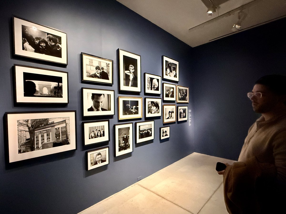 小獅不在紐約 tweet media