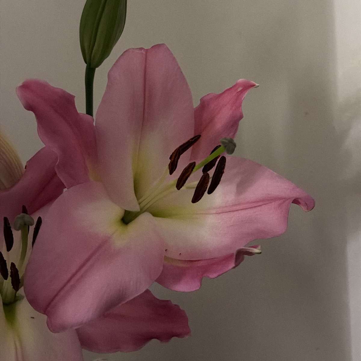 نُور | 👩🏻‍🎓 tweet media