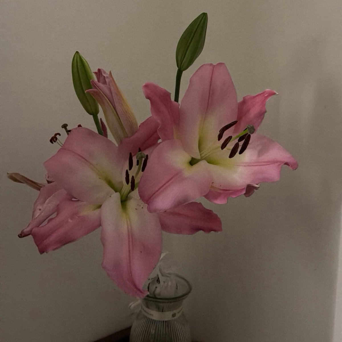 نُور | 👩🏻‍🎓 tweet media