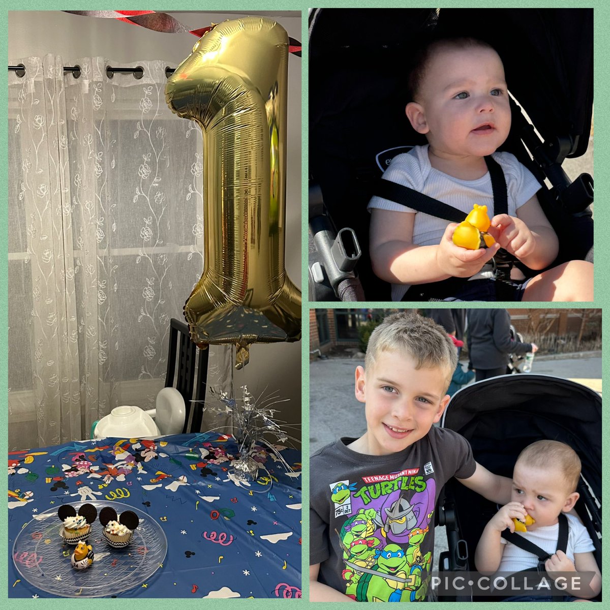 FortZumwalt EarlyEd tweet media