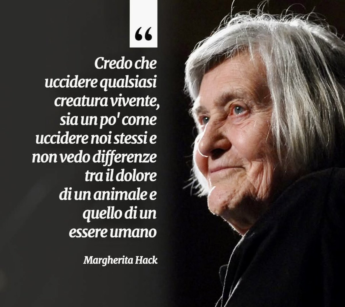 Rudi De Fanti tweet media