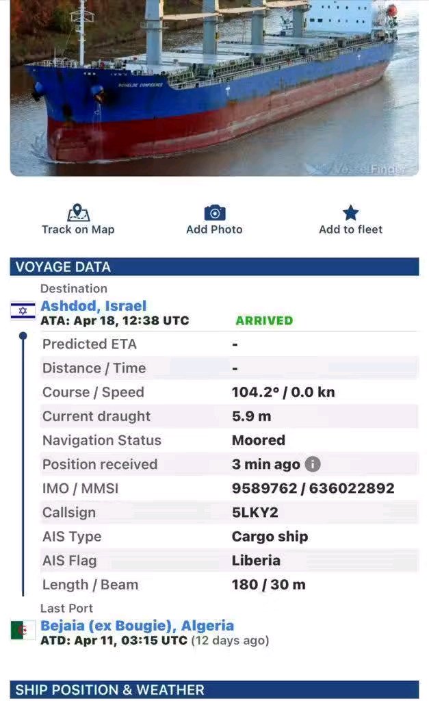 العلوي 🇲🇦 tweet media