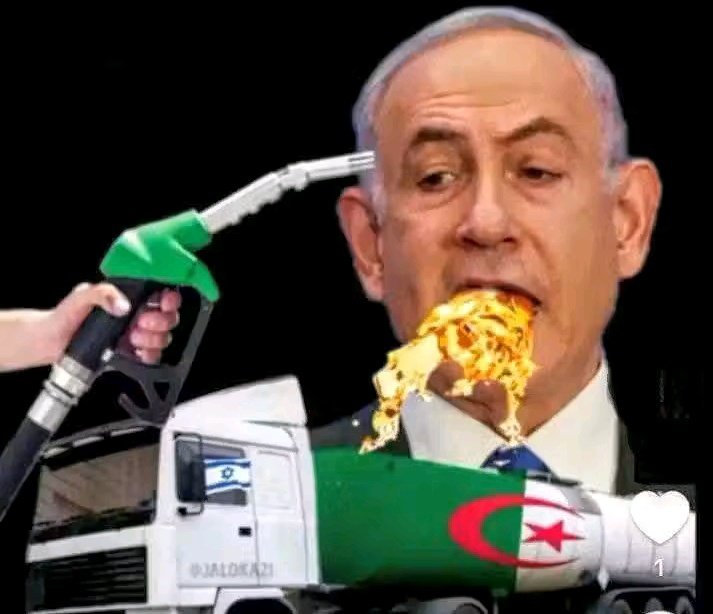 العلوي 🇲🇦 tweet media