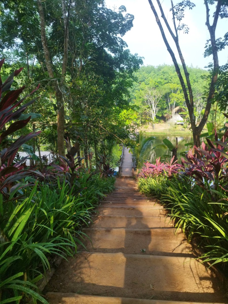 Khinhtet626613's tweet photo. #Day243
This place is really calm and may offer beauty to my eyes but even among all that beauty, the light I feel when I think of Boom shines brighter in my mind. Boom fills my heart with something even deeper than beauty itself๐ฅน๐ฅฐ๐ซถ
Good night,Boom
#BXXMRVW #BoomRaveewit https://t.co/dGS2uBW4Vk